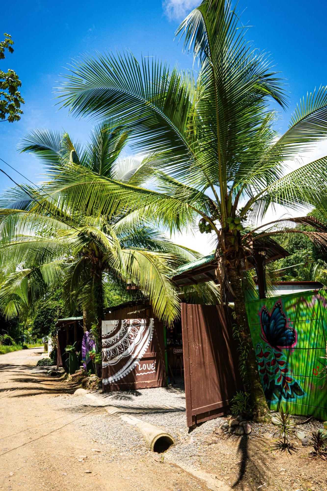 Hostel Flutterby House Uvita Exterior foto