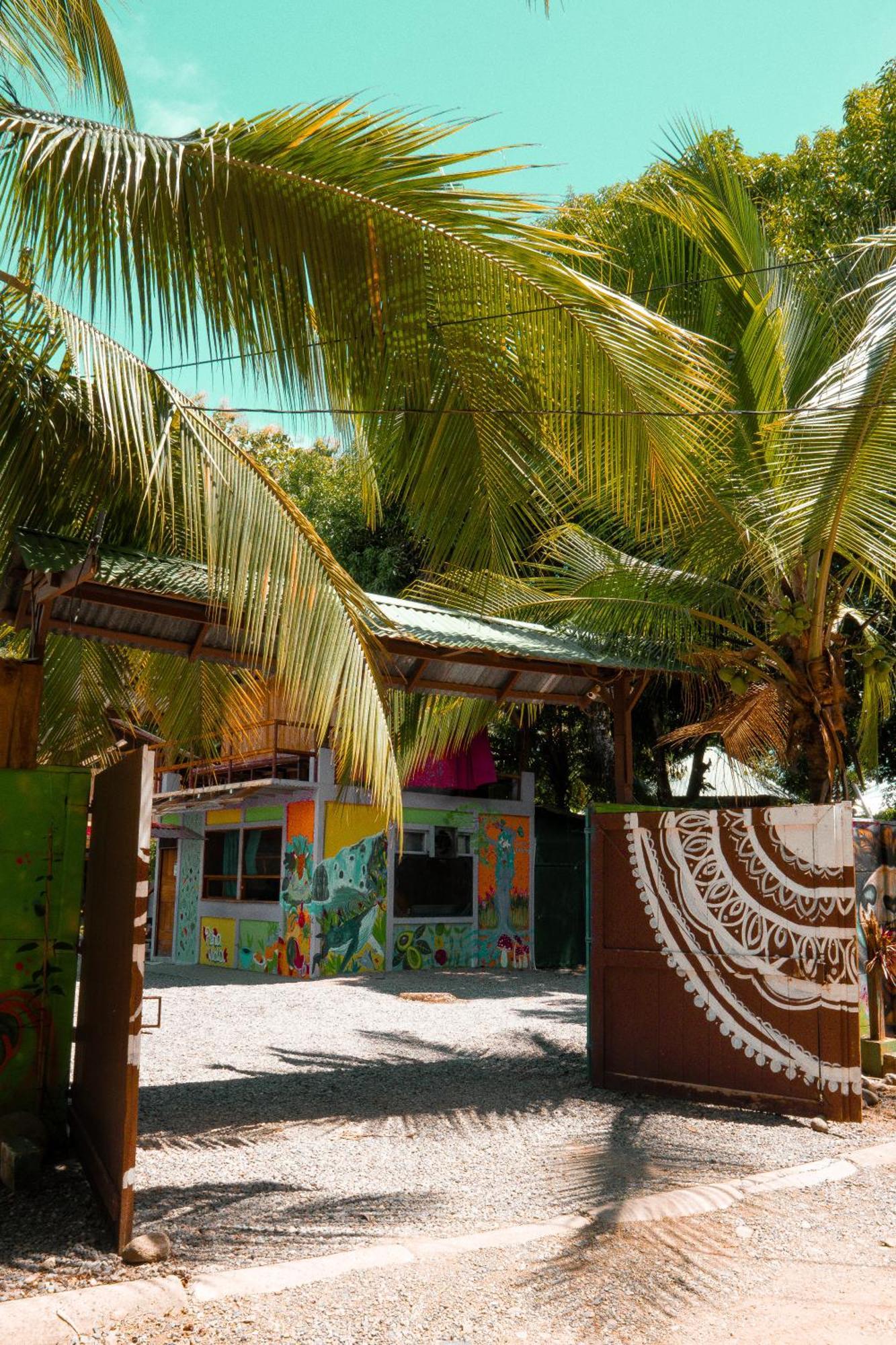 Hostel Flutterby House Uvita Exterior foto